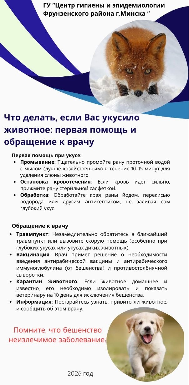 бешенство листовка 2026